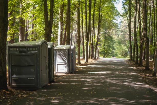Best Portable restroom trailer rental  in Lower Lake, CA